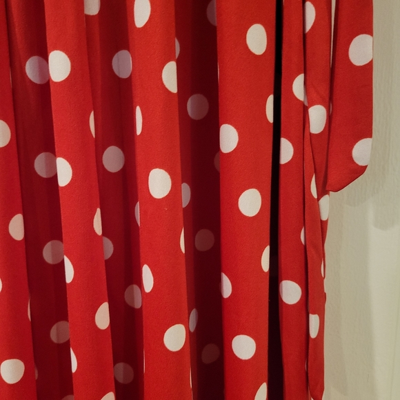 Red & White Polka Dot Dress Size:PXL - Picture 6 of 7
